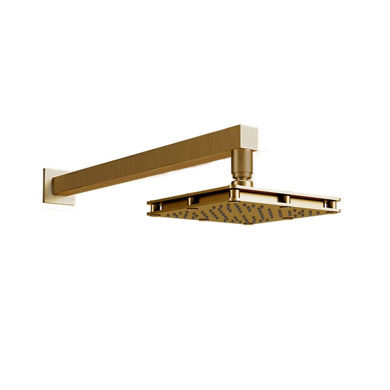 REGADERA PREMIER DUNA H3006-TR036-DN