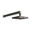 REGADERA PREMIER EBANO H3006-TR036-TN