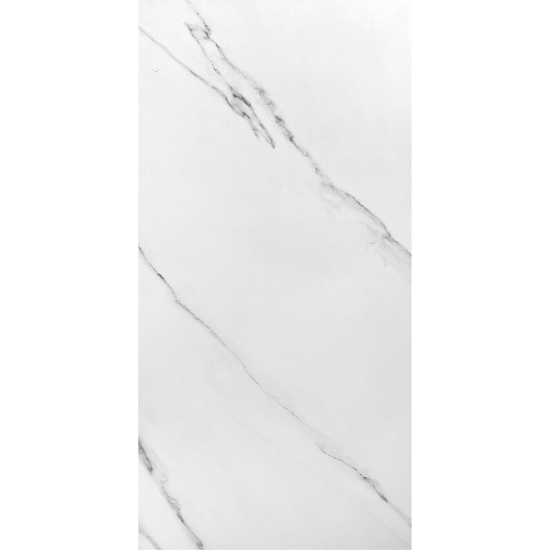 PISO CERAMICO ARES WHITE SATIN 60X120 (CAJA 1.42M2 CONTIENE 2 PZAS)