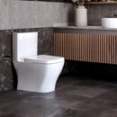 WC OP CAPRI PLUS 4.8 LPD