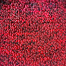 IMAGO ALFOMBRA DE ROLLO 100% OLEFINA, ACTION BC (ANCHO 4 MTS)