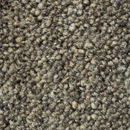 ALFOMBRA MODULAR  ALPHA II & COMBINE 350 TRAFICO RIZO MULTICOLOR 18 OZ 100% NYLON 50 X 50 (UNIDAD DE VENTA MÍNIMA CAJA 5 M2) *COSTO POR M2*