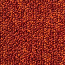 ALFOMBRA MODULAR ALPHA II & COMBINE 100% NYLON (UNIDAD DE VENTA MÍNIMA CAJA 20 PIEZAS 50*50 CM = 5M2 ) *COSTO POR M2*