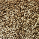 FOUR SEASONS II ALFOMBRA DE ROLLO 100% POLIESTER (3.66 METROS DE ANCHO)