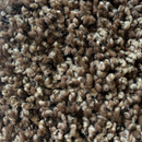 DELICATE ALFOMBRA DE ROLLO 100%SMARTSTRAND (3.66 MTS ANCHO)