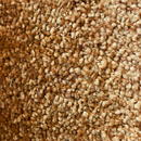 VENUS ALFOMBRA DE ROLLO 100% P.P ESTAIN SAFE(4.00 MTS ANCHO)