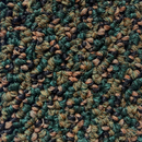 SENTRY II ALFOMBRA DE ROLLO 100% POLIPROPILENO (ANCHO 3.66MT)