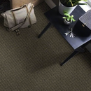 EDINBURG III ALFOMBRA DE ROLLO 100% SOLUTION DYED PET (ANCHO 3.66 MTS)