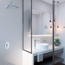 REGADERA DE CHORRO FIJO PREMIER-H-3005-6 AHORRADOR