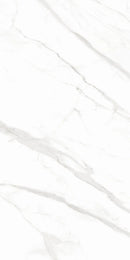 PISO PORCELANICO MAXIMUS DOVE CARRARA PULIDO 242 120X240 (CAJA M2)