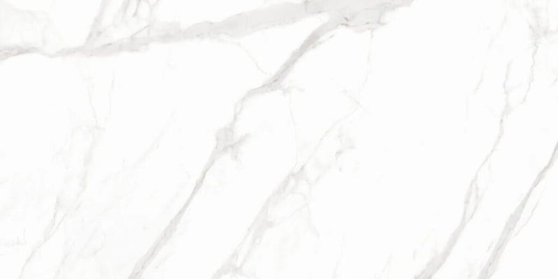 PISO PORCELANICO MAXIMUS DOVE CARRARA PULIDO 242 120X240 (CAJA M2)