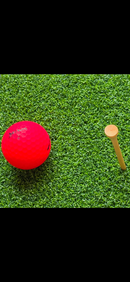 NEW DUNDEE CURLY GREEN PASTO SINTETICO ANCHO 3.95MTS 12MM ESPESOR