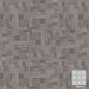 orientacion:685:Damero