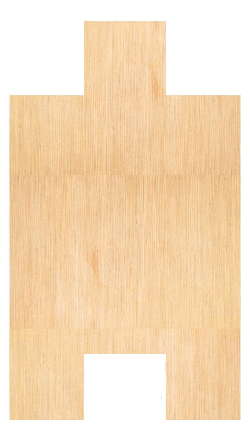 PANEL WPC - 60 ARENA 290X60X0.8 cm