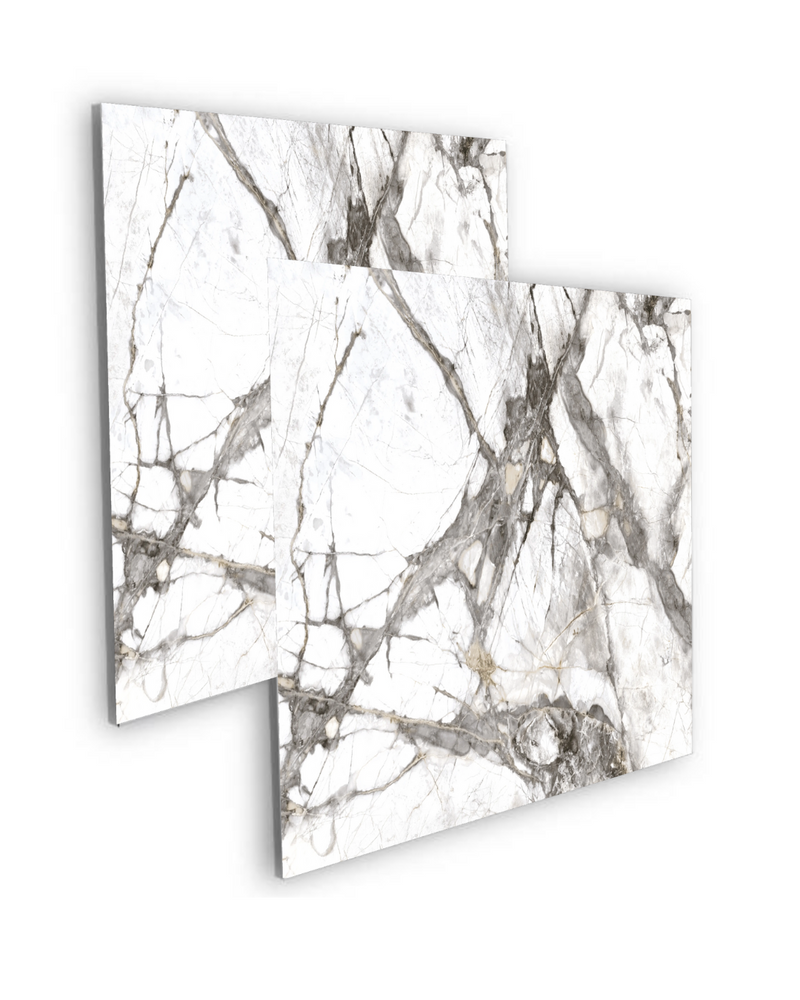 PISO CERAMICO MARSELLA 66 BRILLO 60X60 (CAJA 1.80 M2 CONTIENE 5 PZAS)