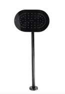 REGADERA PREMIER EBANO H-3005-TR035-EB