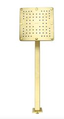 REGADERA PREMIER DUNA H3006-TR036-DN