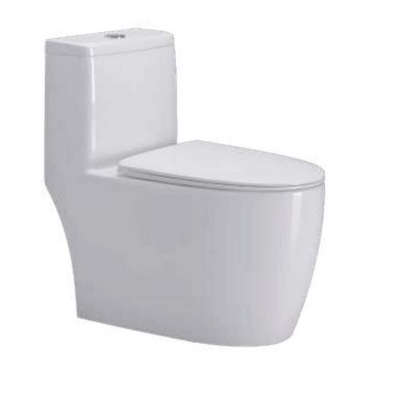 WC CERÁMICO BLANCO WS-WC20