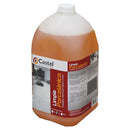 LIMPIA PORCELANICO CASTEL