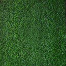 ALFOMBRA PASTOS EUROPEOS CAMPO 100% POLIPROPILENO 4.00 RASURADO CON RISO LARGO 4 MTS CUADRADOS         *COSTO POR M2*