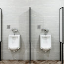 MINGITORIO , FLUXOMETRO-FERRY FC-1