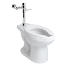 TAZA, FLUXOMETRO ASIENTO-NAO17 2-3.5