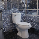 WC OP AUSTRAL P con palanca 3.8 LPD