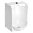 MINGITORIO , FLUXOMETRO-FERRY 1-1