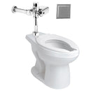 TAZA, FLUXOMETRO ASIENTO-NAO17 FC-3.5