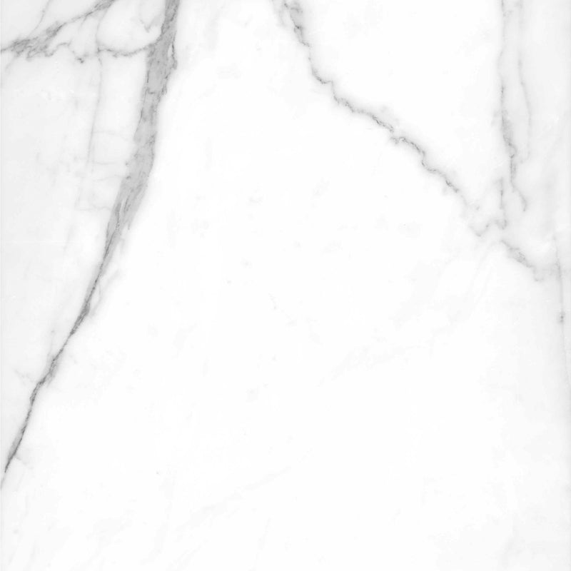 PISO PORCELANICO MAXIMUS THOLOS WHITE 1.20*1.20 (2.88 m2)